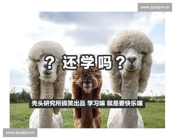 剧本创作经验总结与技巧分享 提升创作水平的实践与思考